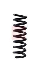 Apec Rear Suspension Coil Spring fits Mercedes-Benz C-Class T-Model 2007-2014