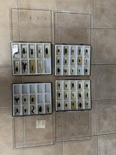 Insekten in Kunstharz Sammlung &ndash; &bdquo;Minibiester" inkl. 4 Sammelkoffer