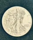 2015 American Eagle .999. Fine Silver. 1 Troy oz.