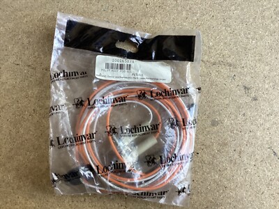 Lochinvar 100165878 Pilot Assembly, PSE-43L PLT 1511