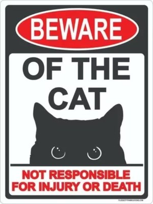 Vintage Beware of The Cat Tin Metal Signs Home Décor Wall Art 8x12 