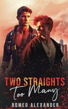 Two Straights Too Many: 1 (Heroes of... by Alexander, Romeo Paperback / softback