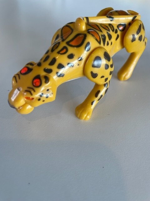 Foto 2 di 8