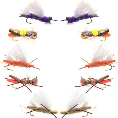 Basics Collection - Chernobyl Ant Hopper Fly Assortment - 10 Flies Size 10