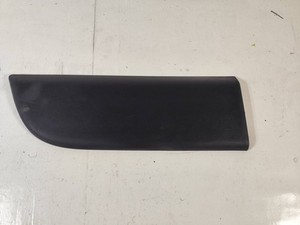 Renault Master III 2017 Vorne links Beplankung Türleiste Zierleiste vorne