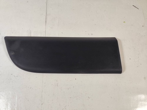 Renault Master III 2017 Vorne links Beplankung Türleiste Zierleiste vorne