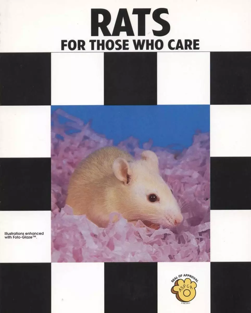 Rats book sale