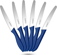 FrüHstüCksmesser Set 6-Teilig, BröTchenmesser Wellenschliff,Blue. | Ergonomische