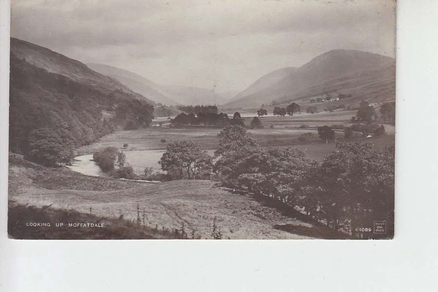 View looking up Moffatdale, Dumfries-shire - Image 1 of 1