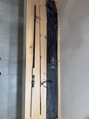 Interfish Blue Eagle 60 Rute 240cm bis 60g