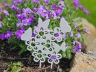 Garden Butterfly Decoration, Plant Stakes, House Plant Décor Allotment Gift Nana