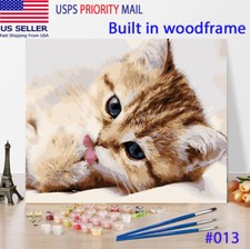 USA DIY Paint by Number Kit Acrylic Oil Painting Home Decor Cat kitten W/ Frame