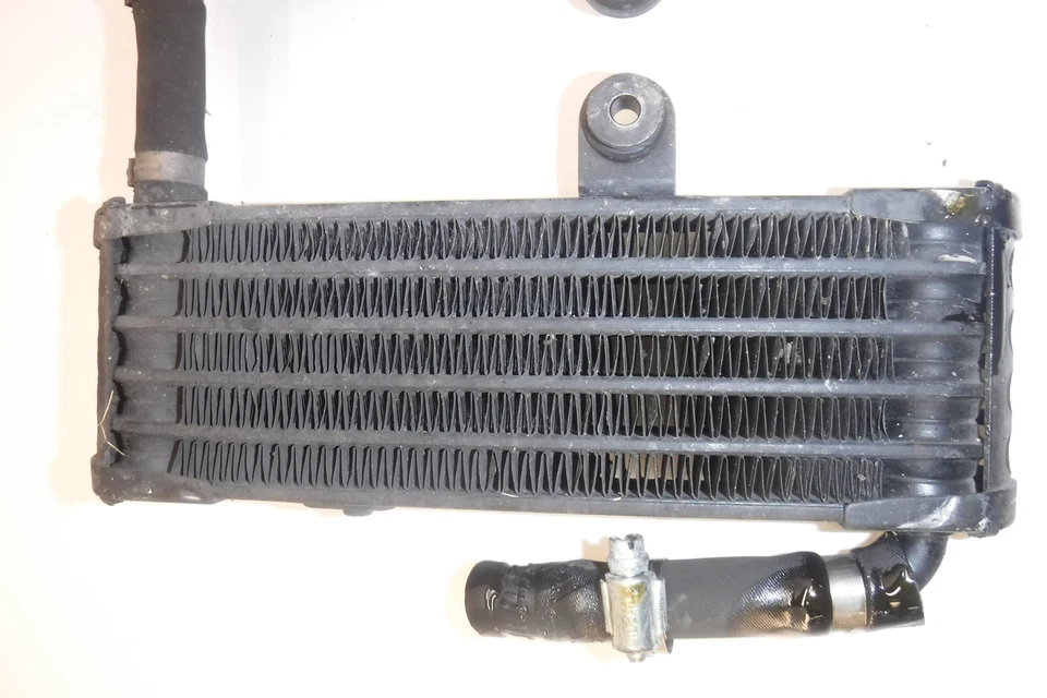 JUEGO ENFRIADOR DE ACEITE DE MOTOR APRILIA RSV MILLE R RSV1000R TUONO 1000R FABRICANTE DE EQUIPOS ORIGINALES 853297 Foto 3 de 4