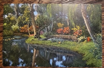 Vintage Postcard - The Wishing Well In Sunny Florida