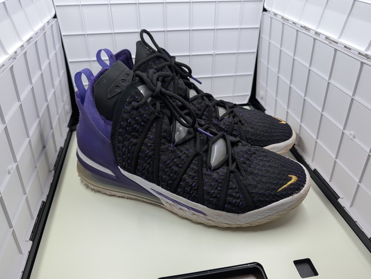 lebron james shoes size 11