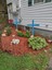 ryno_9237