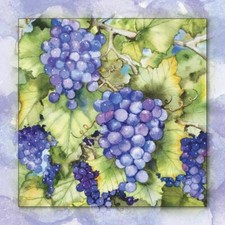 Ceramic Backsplash Tile Mural Fruit Vegetable Food Kitchen/Bathroom - Grapes 1