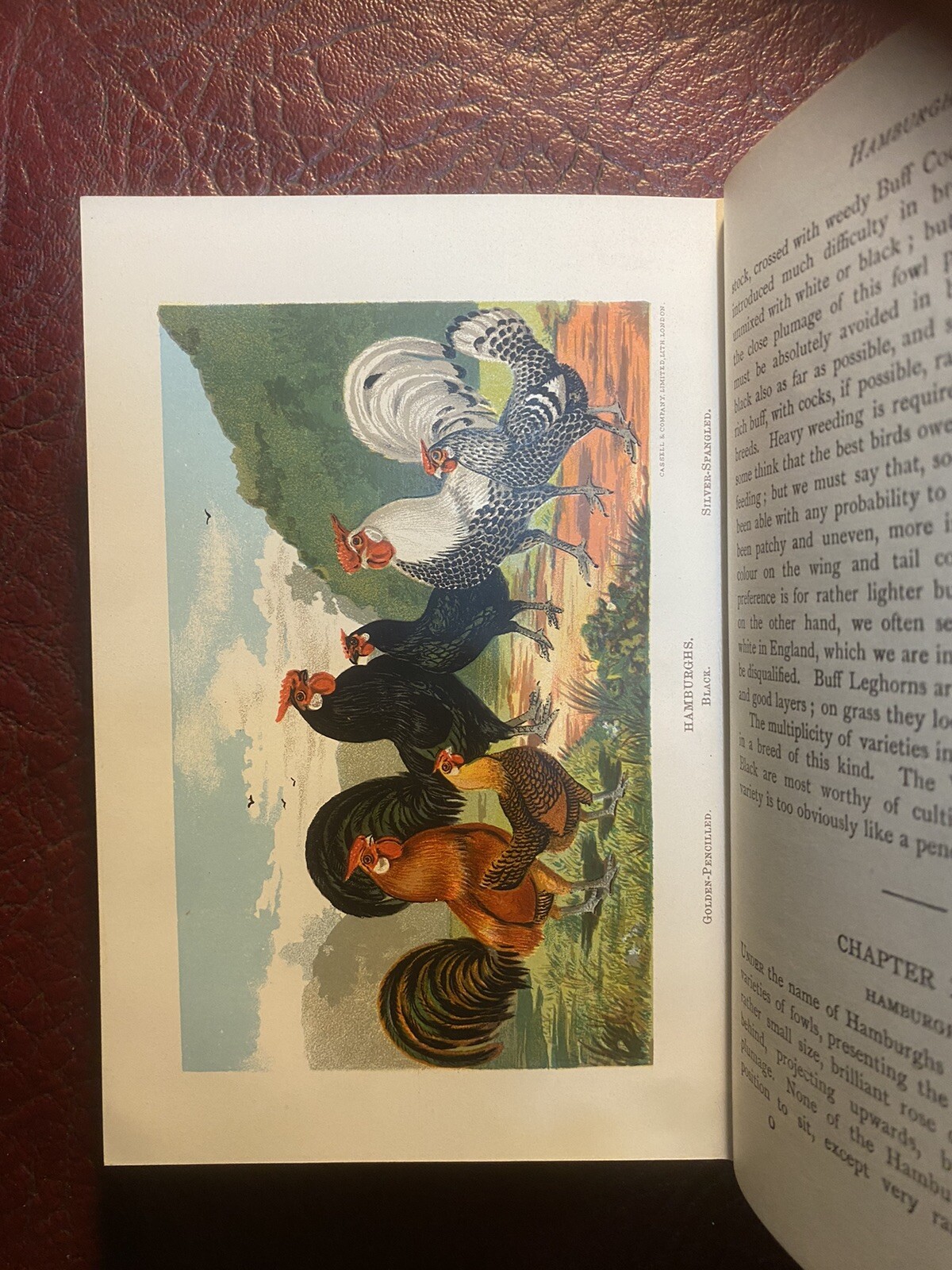The Practical Poultry Keeper By Lewis Wright . 8 Stunning Colour Plates