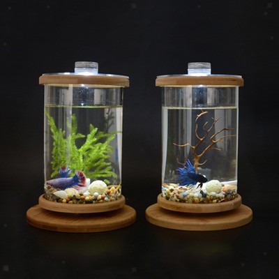 Desktop Decor Small Fish Tank Cylinder Aquarium Terrarium For
