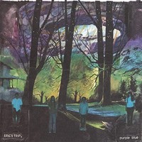 Eric's Trip - Purple Blue - Vinyl Record 12 Record - E3447Z