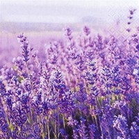 20 Servietten Field Of Lavender Feld Lavendel Sommer Blumen Tischdeko 33X33Cm