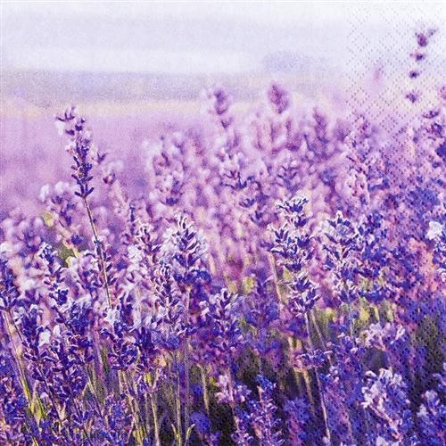 20 Servietten Field Of Lavender Feld Lavendel Sommer Blumen Tischdeko 33X33Cm-image