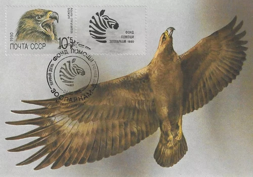 Golden Eagle Aquila Chrysaetos Bird Raptor Fauna Russia Mint Maxi FDC Card 1990
