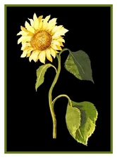 The Great Sunflower Flower inspired Mary Delany Counted Cross Stitch Pattern