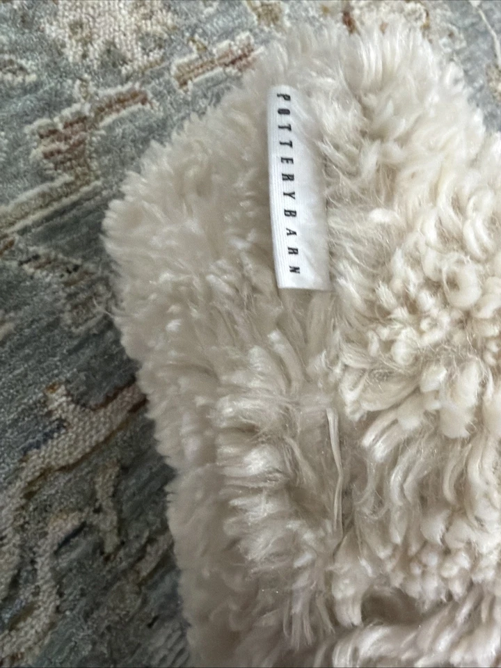 Pottery Barn 狗带灯形枕头 二手 阅读说明! — 第 2/4 张图片