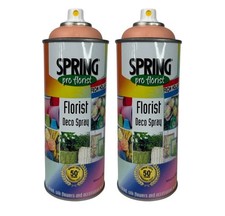 2 PK Spring Pro Florist Floral Spray Paint Fresh Dried Silk Flower Soft Pink