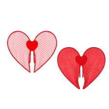 Valentine Heart Wing Lightweight Comfortable for Kids Adults Costume Accessories