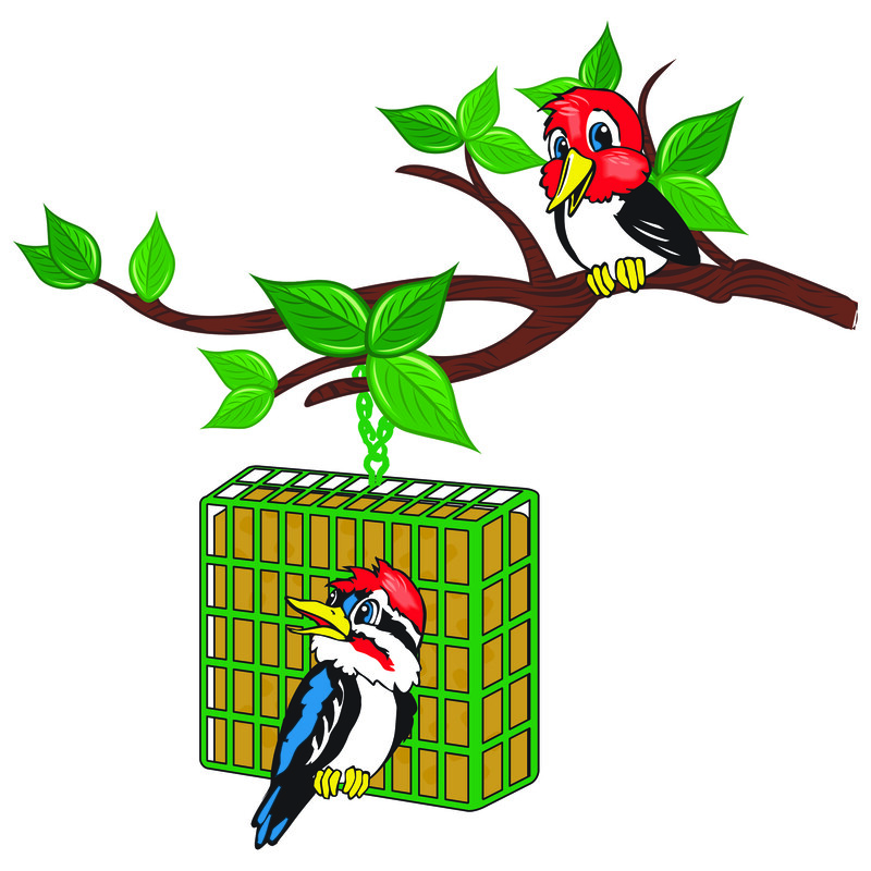 C&S Products 12583 Mealworm Delight Wild Bird Beef Suet 11.75 oz. (Pack of 12)