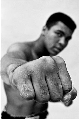 Ali: A Life - 9780544435247, Jonathan Eig, hardcover