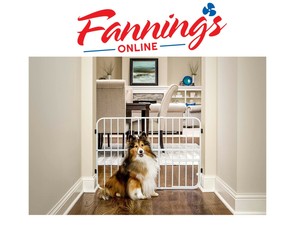 carlson expandable pet gate
