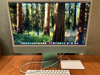 Apple iMac 24-inch M1 8GB RAM Green All-in-One Desktop macOS Tahoe 2021