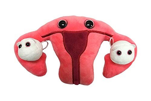 GIANTmicrobes Uterus Plush - Adorable Educational Gift, Detachable Ovaries, G... - Picture 3 of 9