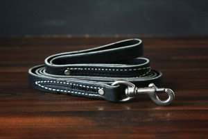 leerburg leash