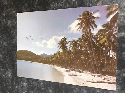 Palmen Fransen einer von Antigua s vielen schönen Stränden.  West Indies. Postkarte 1981