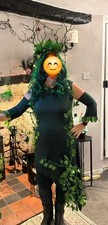 Green Poison Ivy Batman Villain Womens Halloween Fancy Dress Costume Medium