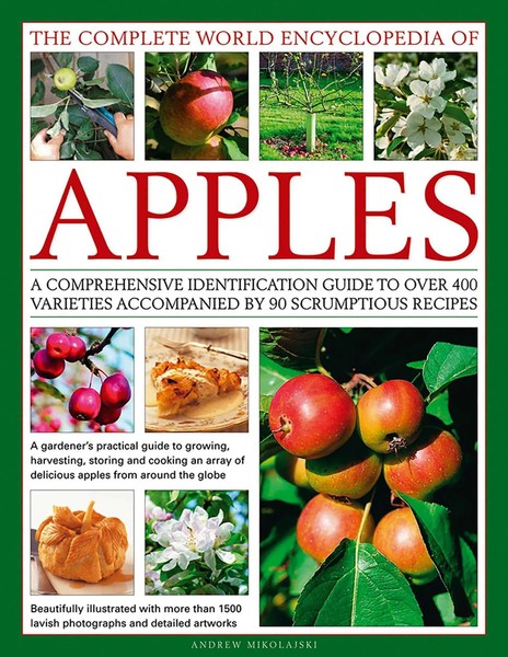 Andrew Mikolajski | The Complete World Encyclopedia Of Apples | Buch | Englisch-image