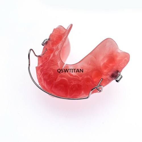Dental Functional Orthopedic Bionator Removable Teeth Model 3006 Teach Study - Picture 3 of 7