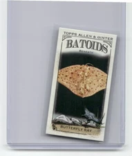 2024 Topps Allen & Ginter #RITW-9 Butterfly Ray Mini Batoids Beneath - 11700