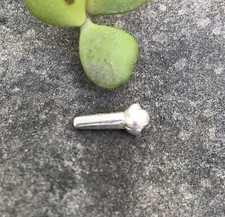 925 Silber hinduistische religi&ouml;se Laung Lavang Nelke f&uuml;r Puja Pooja 12 mm 0,...