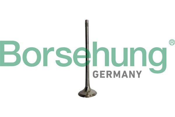 Auslassventil Borsehung B10335 FüR BMW 1Er F21 F20 3Er F30 F80 Touring F31 114-image