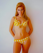 STELLA STEVENS - 8"X10" PHOTOGRAPH