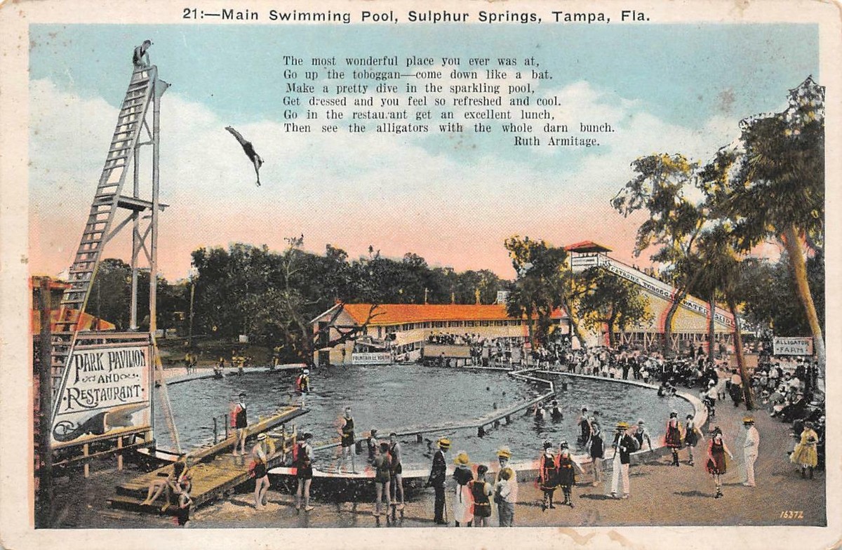 MAIN SWIMMING POOL SULPHUR SPRINGS TAMPA FLORIDA POSTCARD (c. 1915