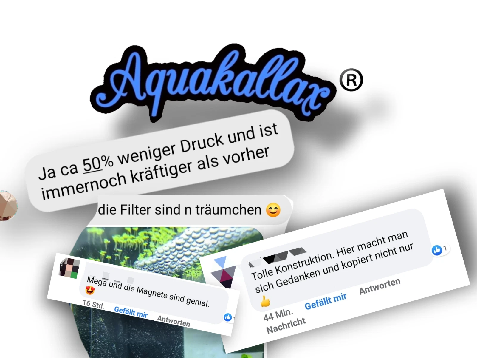 Bild 3 von 12