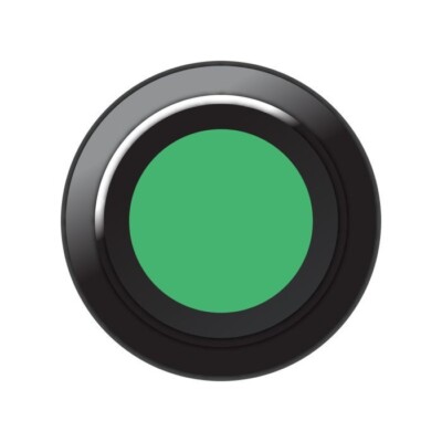 Link Engine Management CAN Tastatur Einsatz grüne Taste