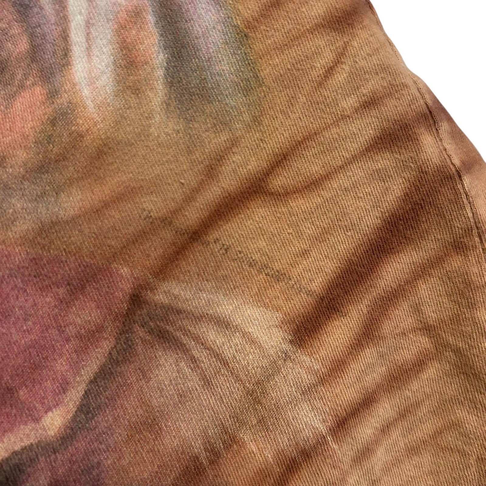 The Mountain Evolution Native American Indian AOP… - image 12