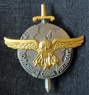 INSIGNE BREVET RECUEIL INFORMATION GRI 2e REGIMENT HUSSARD RENSEIGNEMENT